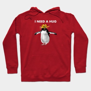 I need a hug Hoodie